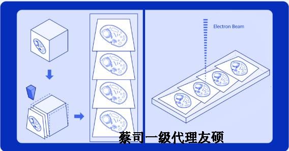 肇庆蔡司肇庆扫描电镜