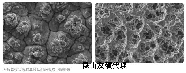 肇庆蔡司肇庆扫描电镜