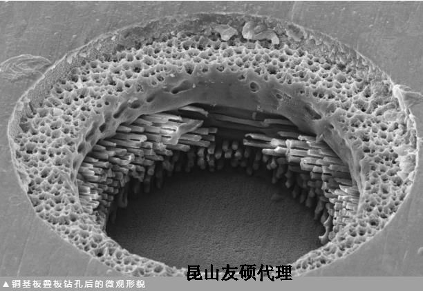 肇庆蔡司肇庆扫描电镜